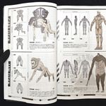 Артбук Attack on Titan The Final Season Part 1 Key Animation book