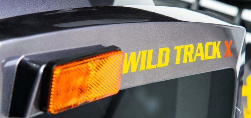 Квадроцикл MOTOLAND 200 Wild Track X Pro (2022)