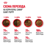 Royal Canin Giant Puppy Корм сухой для щенков очень крупных размеров 3,5 кг