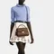 Сумка Louis Vuitton Croisette канва Damier Azur коричневый