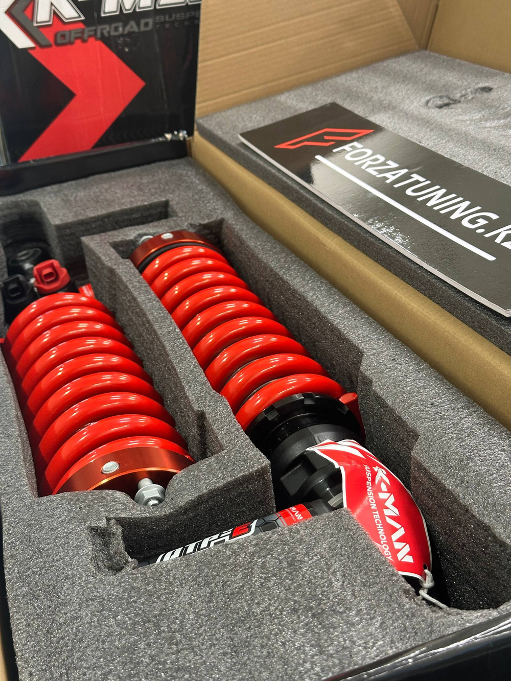 Подвеска K-man для TANK 300 400 500 700 Танк аморты пружины электронный DTP-E