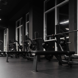 E7043 Скамья-стойка для жима штанги лежа