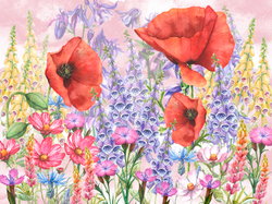 Коллекция MORNING DEW