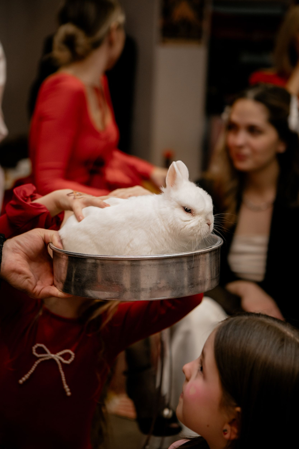 Цирк для Маши