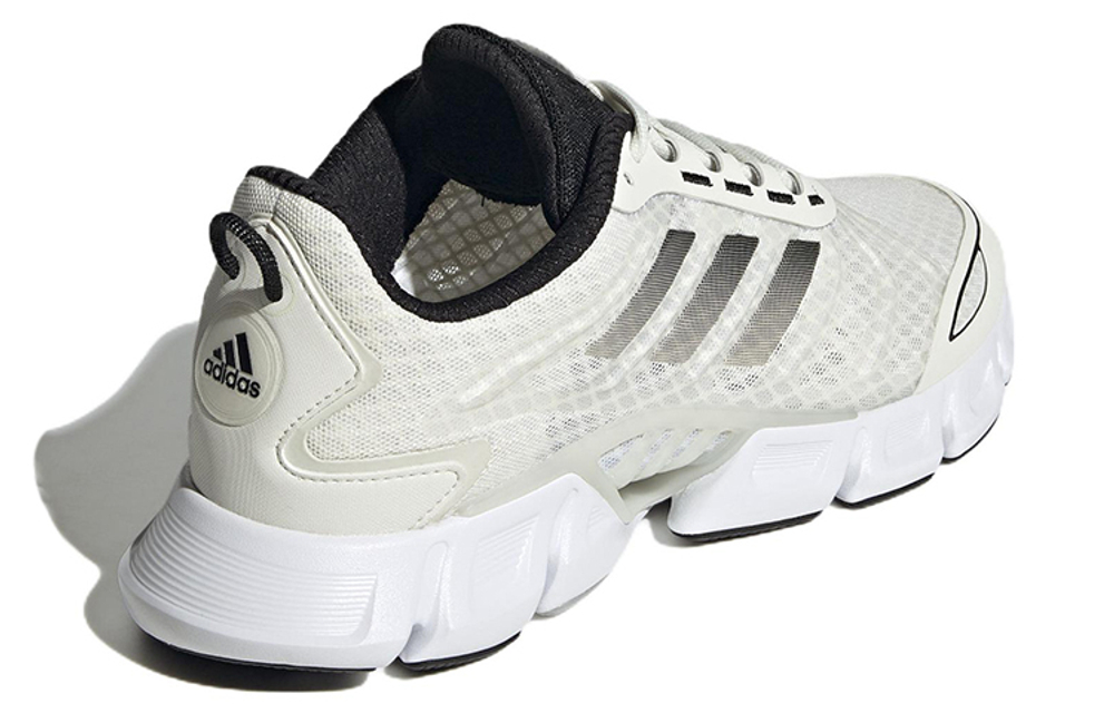 Кроссовки Adidas Climacool