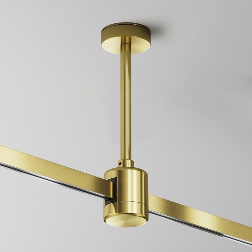 Основание на штанге Maytoni Accessories for tracks Flarity TRA156C-IPCL1-BS