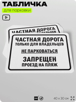 Табличка для парковки "Частная дорога, не парковаться", для дома, офиса, организаций, 40х30 см, Silver Plane x Айдентика Технолоджи