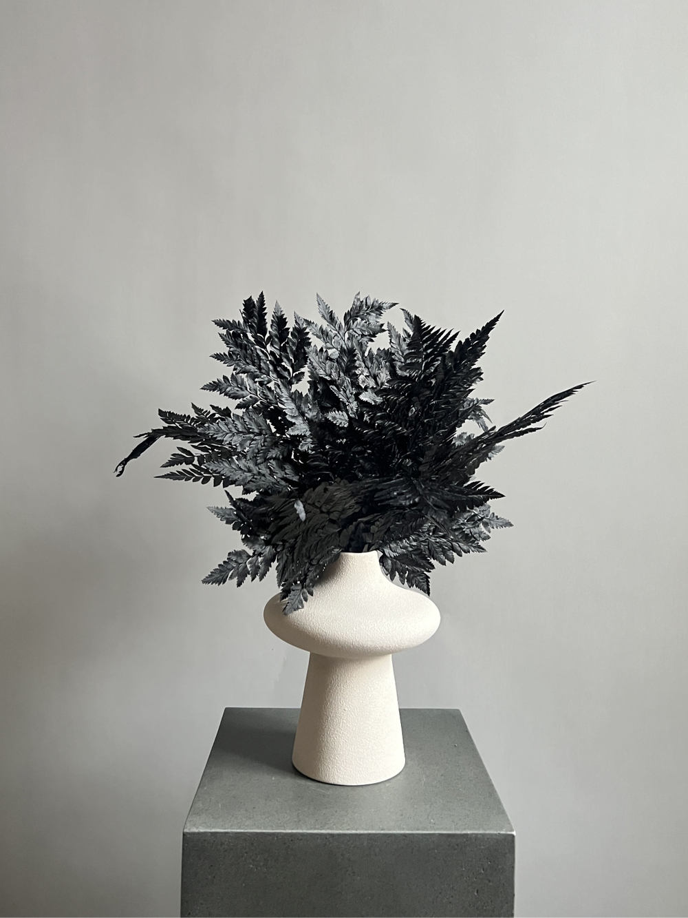 Папоротник черный