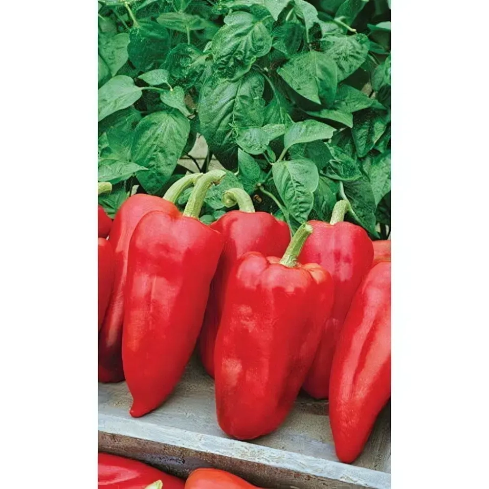 Семена Перец сладкий Здоровье (Марс) Б/П