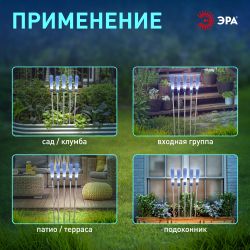 Светильник уличный ЭРА ERASF23-13 Камыши на солнечной батарее садовый высота 60 см 5 шт 5 LED | Садовые декоративные светильники