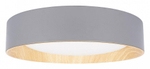 Накладной светильник Loft it Coin 10202 Grey