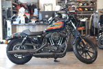 Iron 1200 Sportster Harley-Davidson Billiard Blue