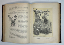 Гесдерфер М. Комнатное садоводство. СПб. Изд. Девриена, 1898г.