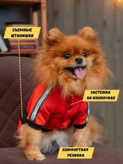 Спортивный комбинезон костюм для собак