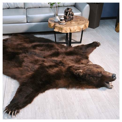 Шкура медведя «Бурый зверь»