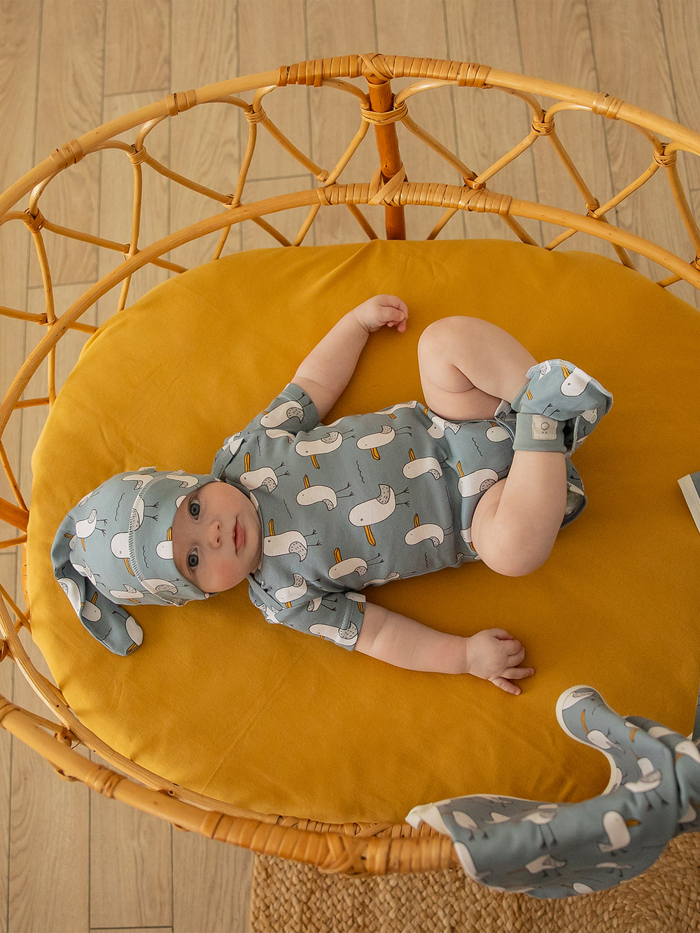 Боди Mjölk Чайки, с коротким рукавом, уценка