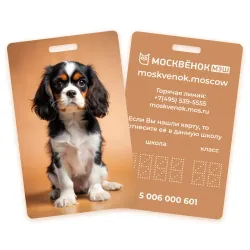 Карта Москвёнок DOGS №5 (проход + питание)