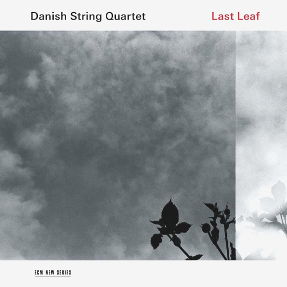 Danish String Quartet / Last Leaf (LP)