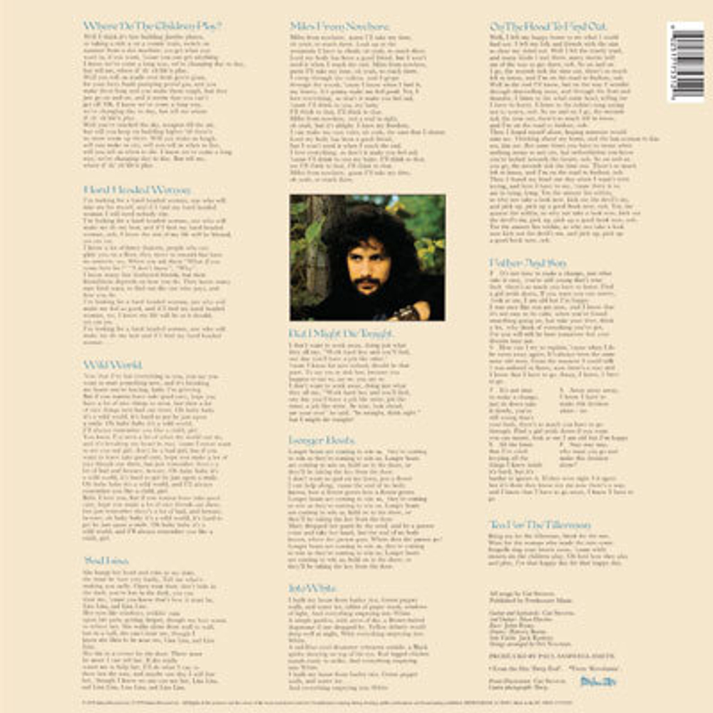 Cat Stevens / Tea For The Tillerman (LP)