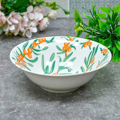 Миска суповая 600мл 18см Облепиха