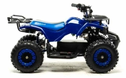 Электроквадроцикл Motoland ATV E009 1000W