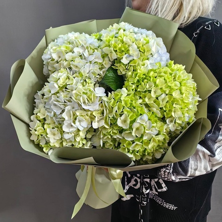 Букет из 5 зеленых гортензий