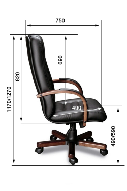 Кресло для руководителя MYRA А LAGUNA