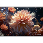 Альбом для рисования А4 24л., Alingar, на скрепке, мелованный картон (стандарт) 210 г/м2, офсет 100 г/м2, "Цветы", 4 дизайна в пленке т/у