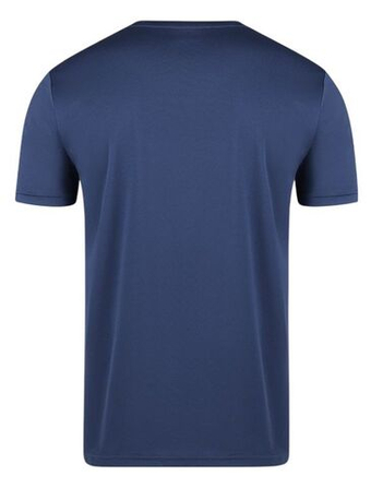 Мужская теннисная футболка Victor T-13102 B - небесный