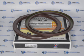 Сальник балансира А7  (160х194х10,5) AZ99255220223 DZ91259520512