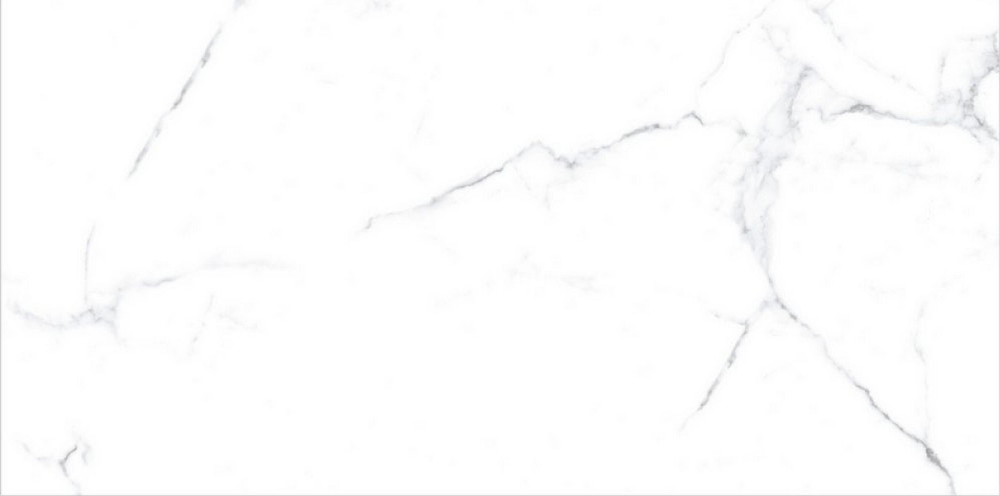 Керамогранит Olivia белый 60x120 PGT120609403MGR