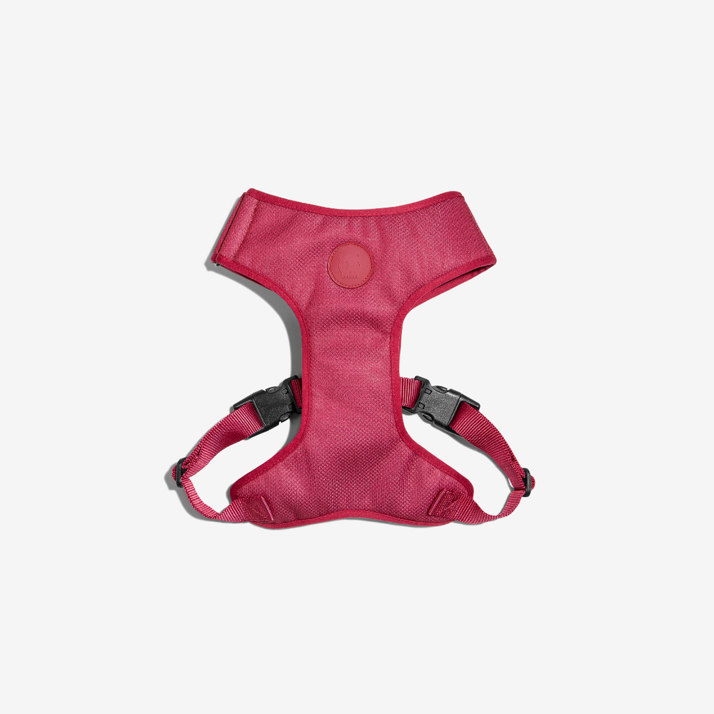 Шлейка Air Mesh BORDEAU Zee.Dog