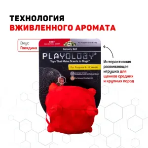 Сенсорный плюшевый мяч Playology PUPPY SENSORY BALL 11 см для щенков мелких и средних пород 8-16 недель с ароматом говядины, цвет красный