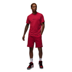 Баскетбольная футболка Jordan Air T-shirt Red