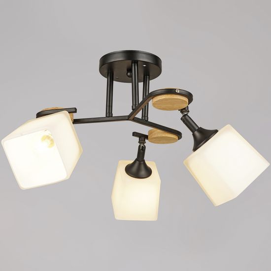 04217-0.3-03 BK светильник потолочный