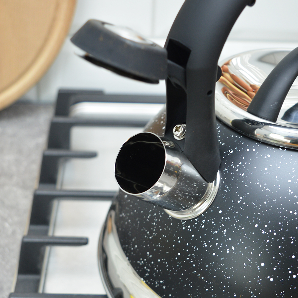 Чайник 3л со свистком черный НМ 5568-1