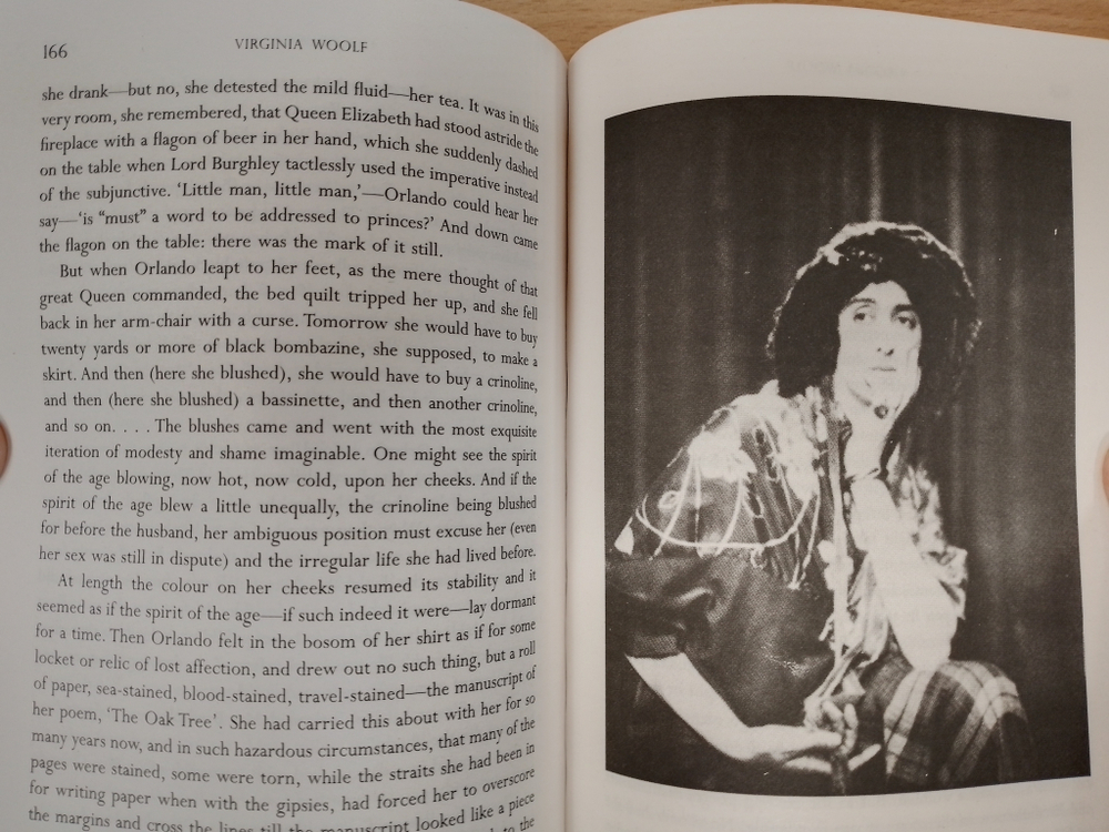 Orlando (Vintage Classics Woolf)