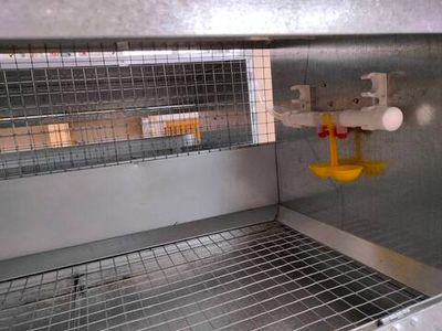 Клетка для бройлеров до 10 голов