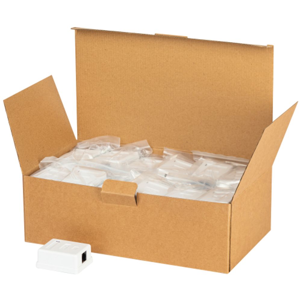 Розетка компьютерная RJ-45 ЭРА RJ01UN категория 5е неэкранированная 1-порт упаковка 40 штук