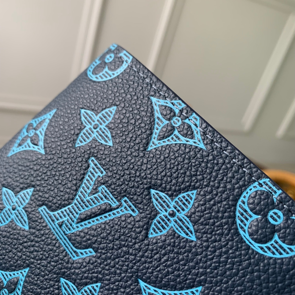 Louis Vuitton Multiple Wallet