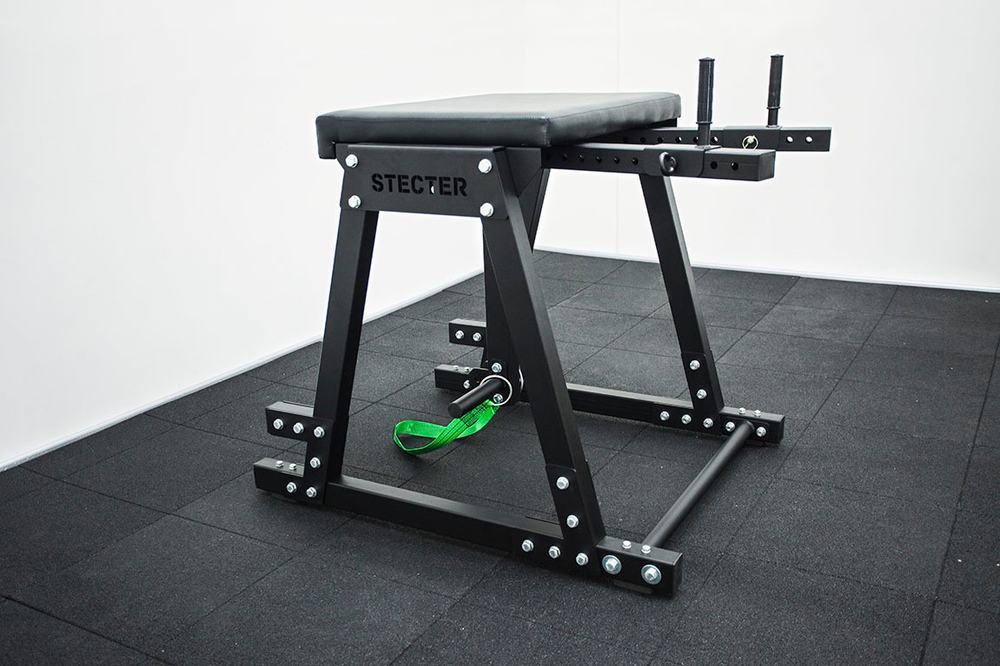 Обратная экстензия (Reverse Hyper)