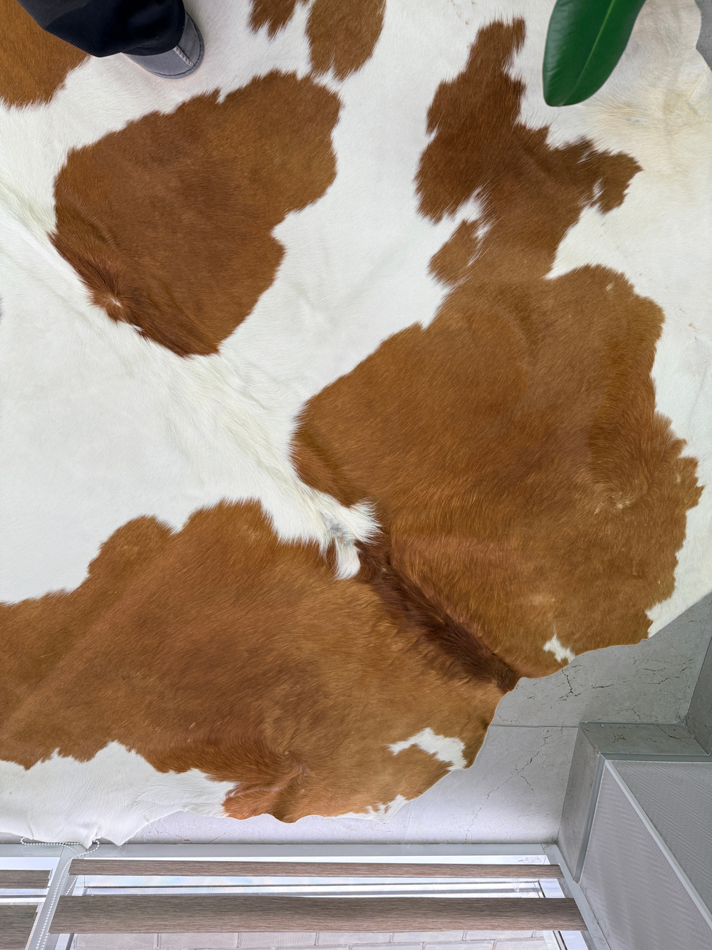 Коровья шкура на пол натуральная. 200 х 190 см