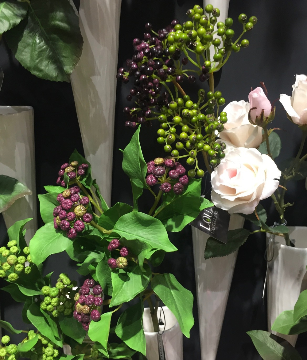 Лавр с бордовыми ягодами