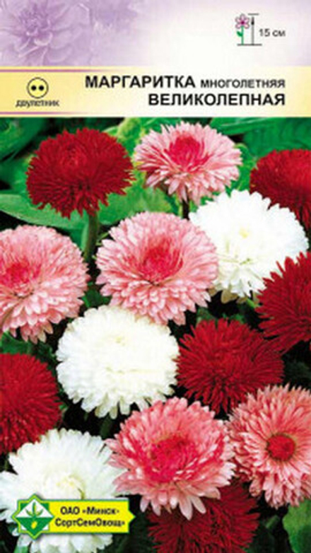 Маргаритка многолетняя "Великолепная" 0,1г., Германия.