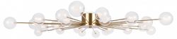 Потолочная люстра Freya Celebrity FR5242CL-24BS1