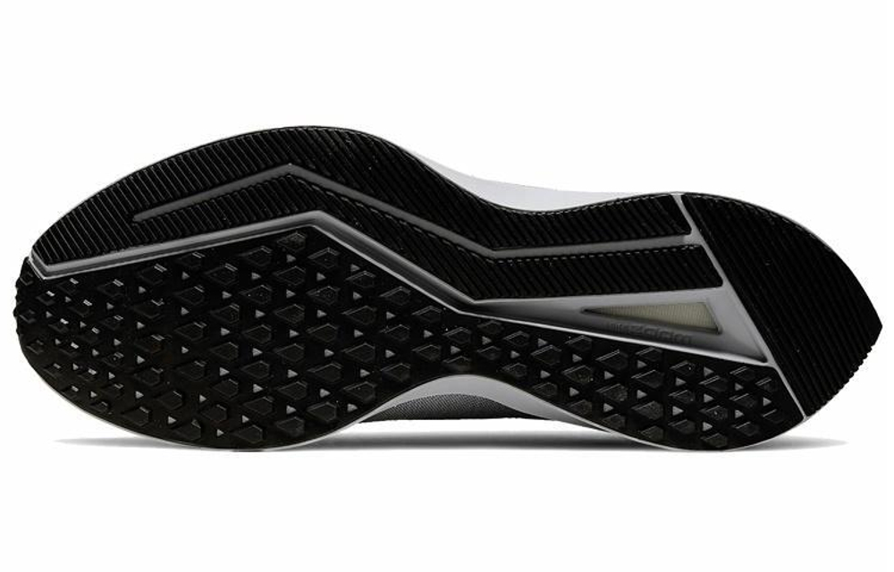 Кроссовки Nike Zoom Winflo 6 Shield