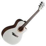 Акустическая гитара Gopherwood i132C Pearl Dust