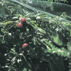 Сетка от птиц PRIVAL 10х10мм, 5x8м