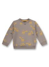 Толстовка Sanetta Kidswear 115397 18058