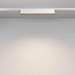 Трековый магнитный светодиодный светильник Maytoni Radity Basis Grid TR084-1-12W4K-W